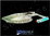 USS THUNDERCHILD - AKIRA CLASS 1/1400 STARCRAFT RESIN KIT