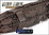 KLINGON DASPU' CLASS (damaged packaging) - EAGLEMOSS STARSHIPS COLLECTION STAR TREK DISCOVERY