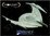 ROMULAN BIRD OF PREY (ENT) - 1/1400 STARCRAFT RESIN KIT