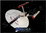 U.S.S. ENTERPRISE NCC-1701 - STAR TREK AMT CUTAWAY MODELL BAUSATZ 1/537
