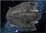 NAREK's SNAKEHEAD - STAR TREK PICARD - EAGLEMOSS STARSHIP COLLECTION (SPECIAL OFFER)
